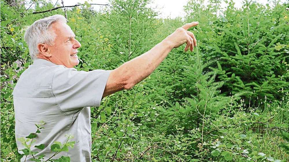 „Die Bäume schreien ja nicht“