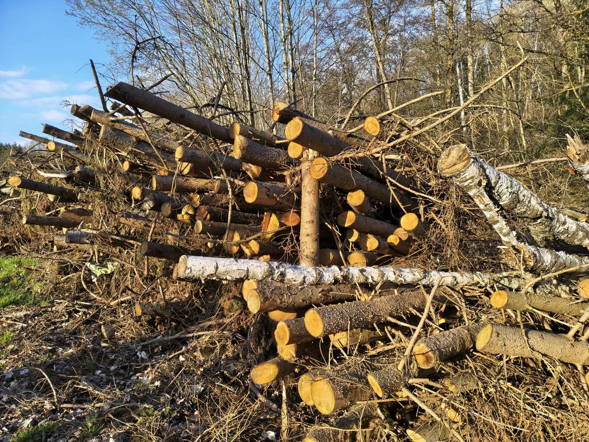 01April2026 foto3 stefanhafner