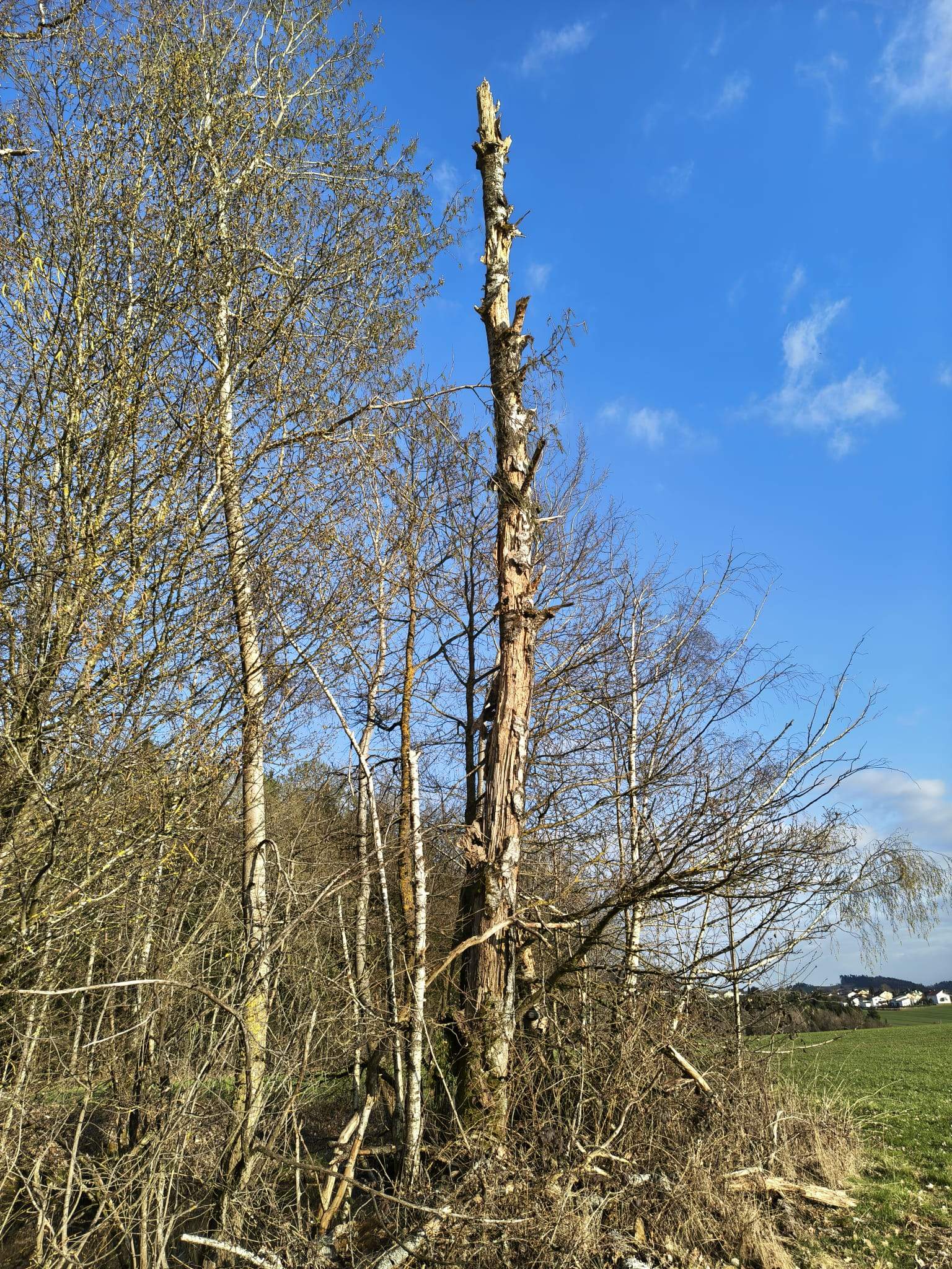 01april2026 foto stefanhafner